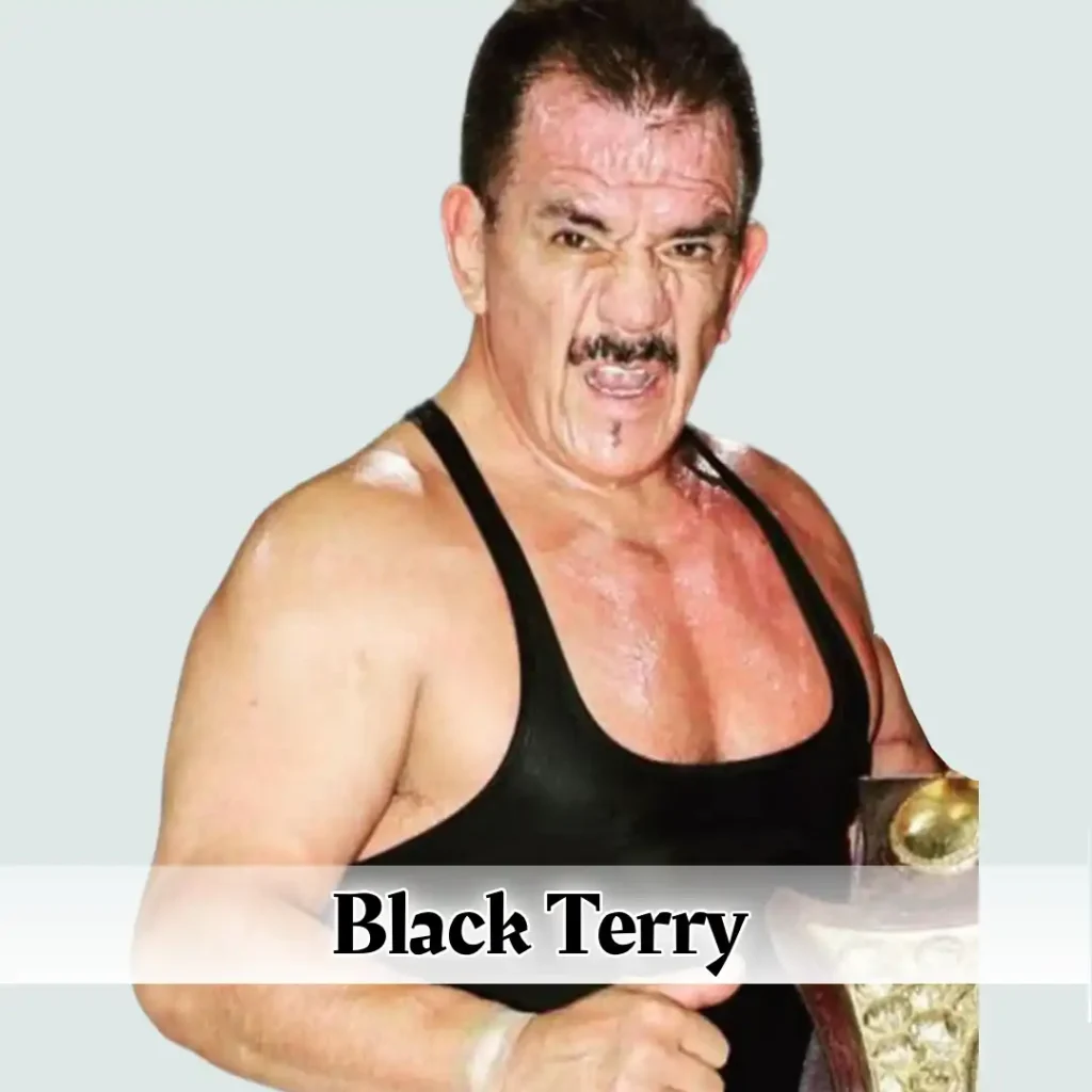 Black Terry